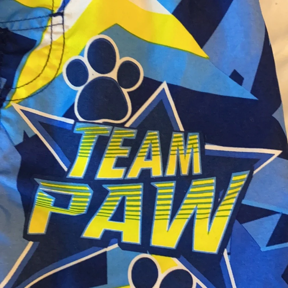 Nickelodeon paw patrol